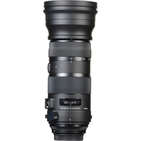 Sigma 150-600mm F5-6.3 DG OS HSM Sports Lens
