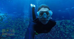 GoPro Mavi Sular için Şnorkel Dalış Filtresi