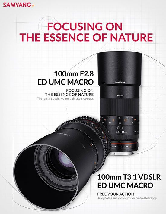 Samyang 100mm T3.1 VDSLRII Cine Makro Lens (Canon EF)