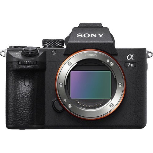 Sony A7 III Body + Sony 85m f/1.8 Lens