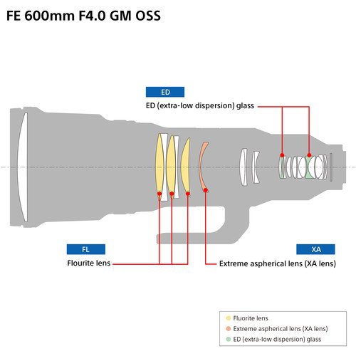 Sony FE 600mm f/4 GM OSS Lens